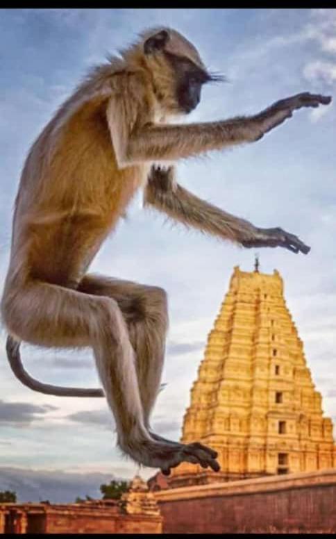 Mamatha Guest Inn Hampi Zewnętrze zdjęcie