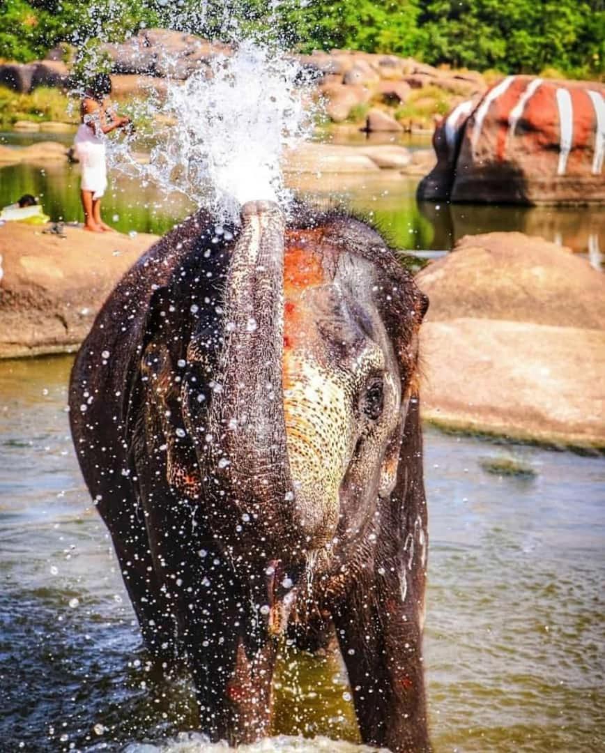 Mamatha Guest Inn Hampi Zewnętrze zdjęcie
