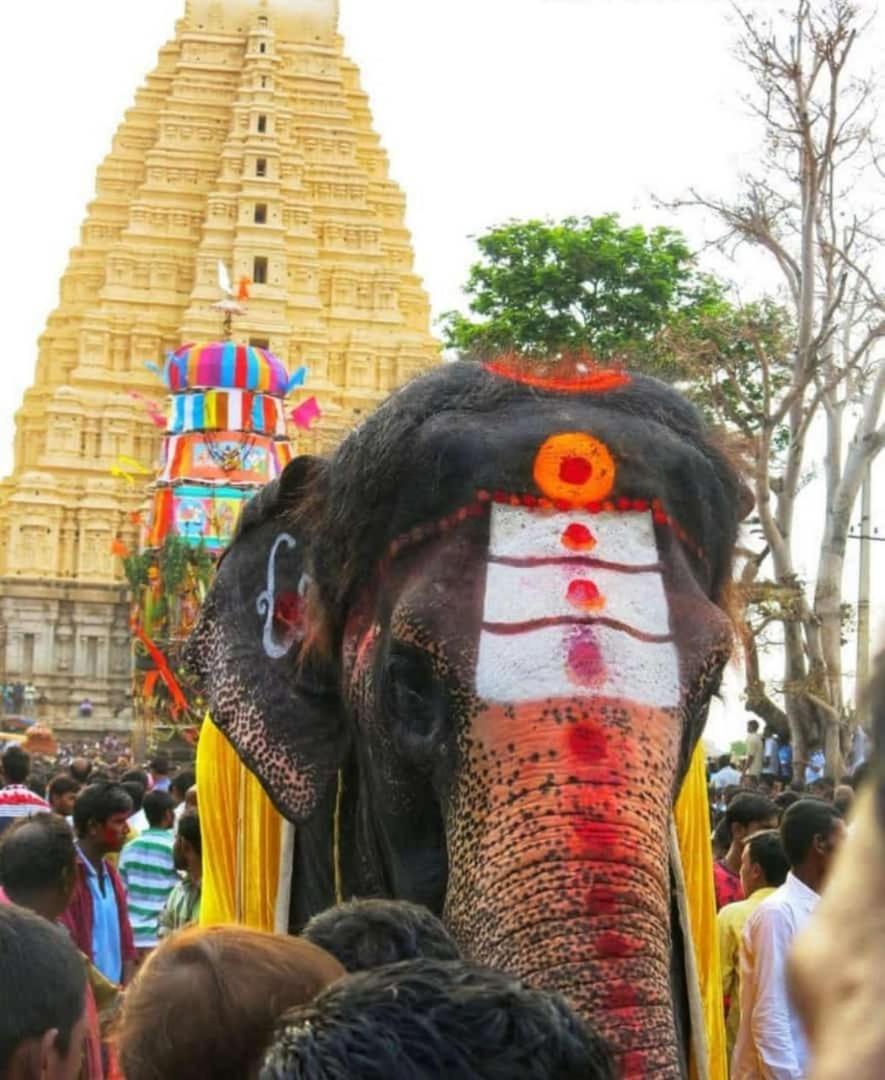 Mamatha Guest Inn Hampi Zewnętrze zdjęcie